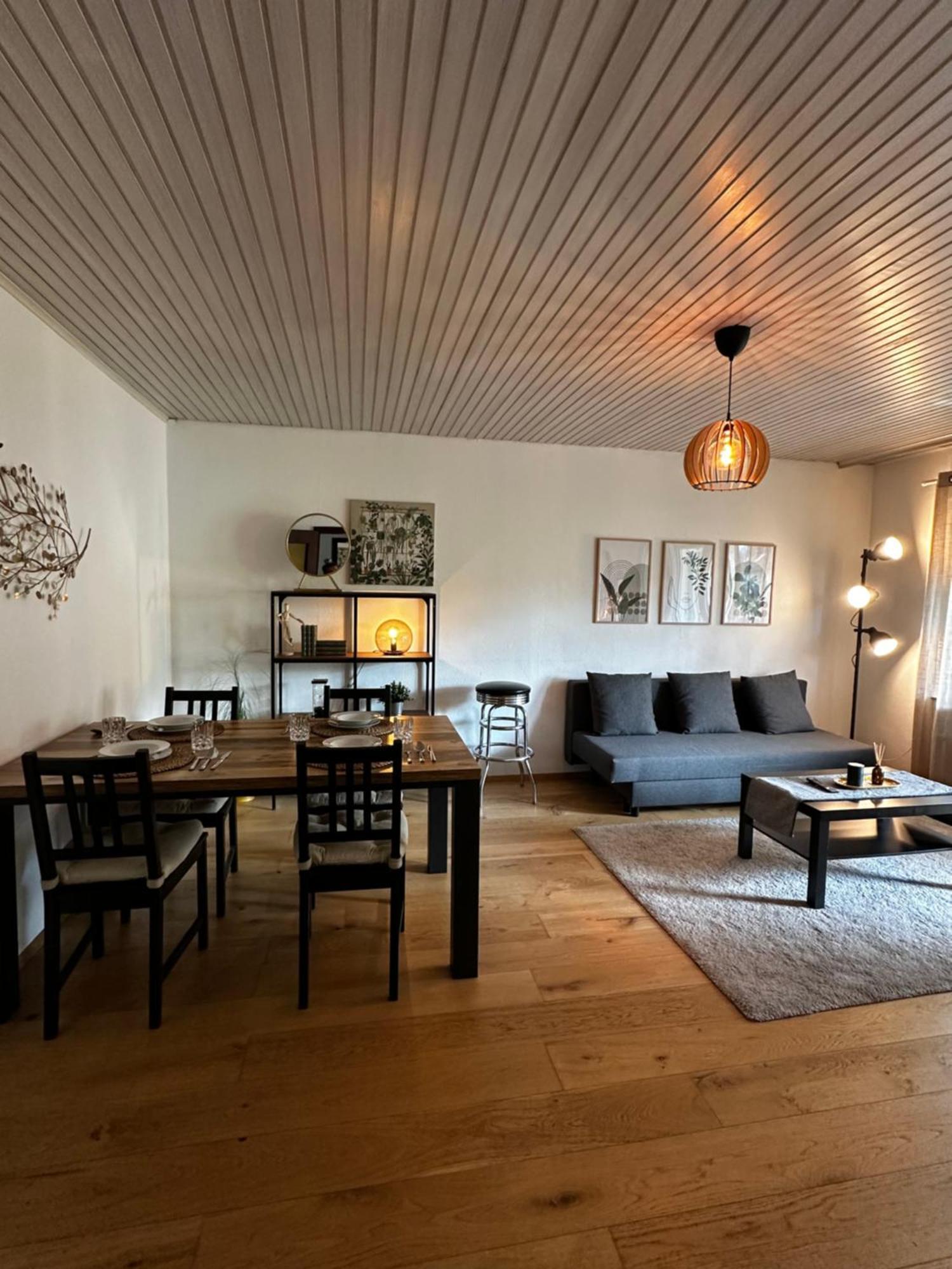 Gemuetliche Wohnung Καρλσρούη Εξωτερικό φωτογραφία